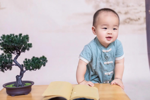 乌兰察布可爱的企鹅宝宝